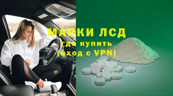 молекула духа Новозыбков