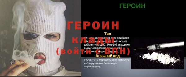 молекула духа Новозыбков