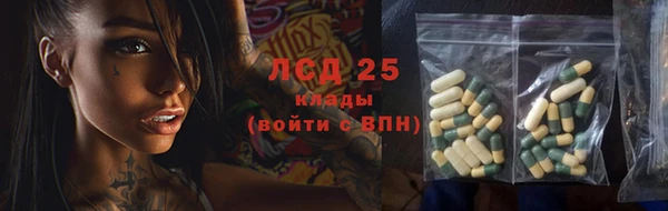 молекула духа Новозыбков