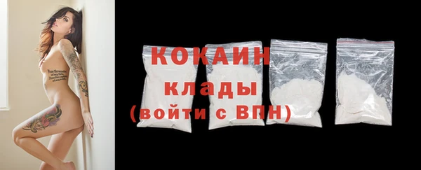 молекула духа Новозыбков