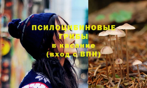 молекула духа Новозыбков