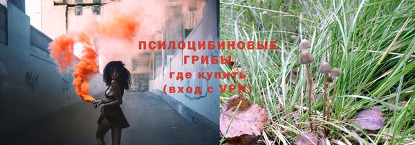 таблы Новокубанск