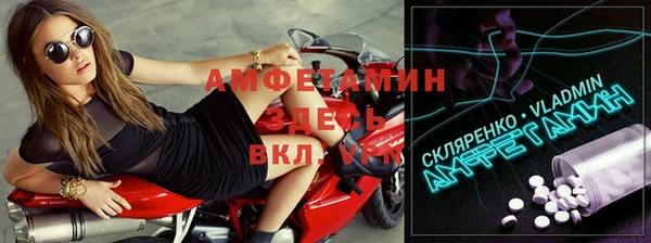 молекула духа Новозыбков