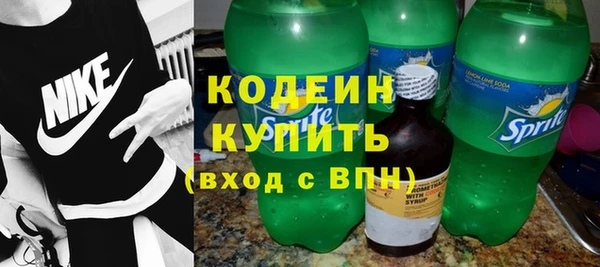 прущие грибы Новый Уренгой