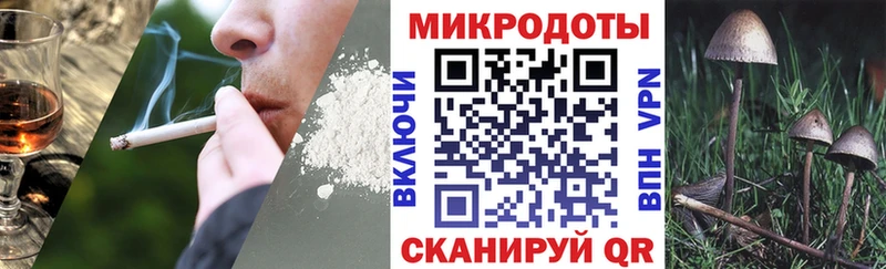 Псилоцибиновые грибы прущие грибы Кодинск